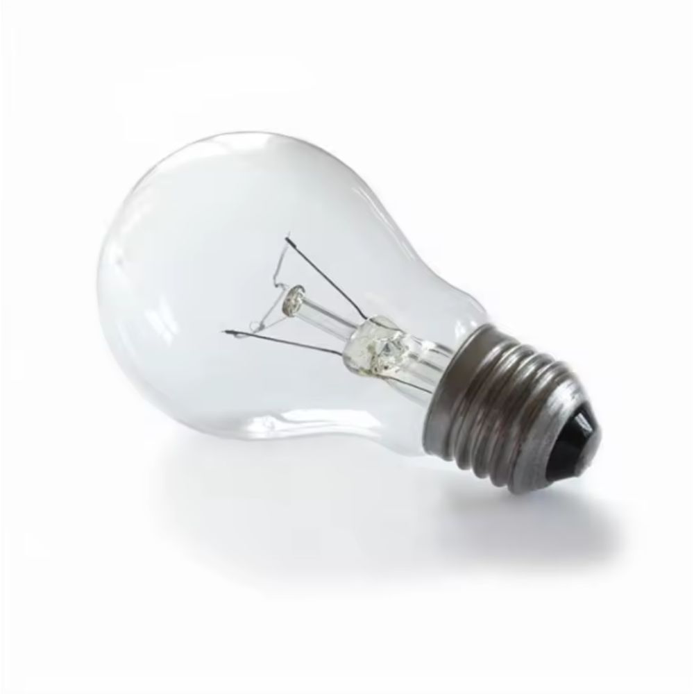 BT E26 A19 Edison Heating Lamp 40W light bulb for Incubator - STS Incubator