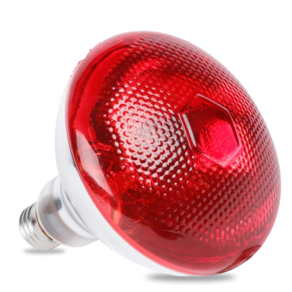 Red Heat Lamp Bulb 275W for Pets, Chickens, and Reptiles - Ideal for Incubators - STS