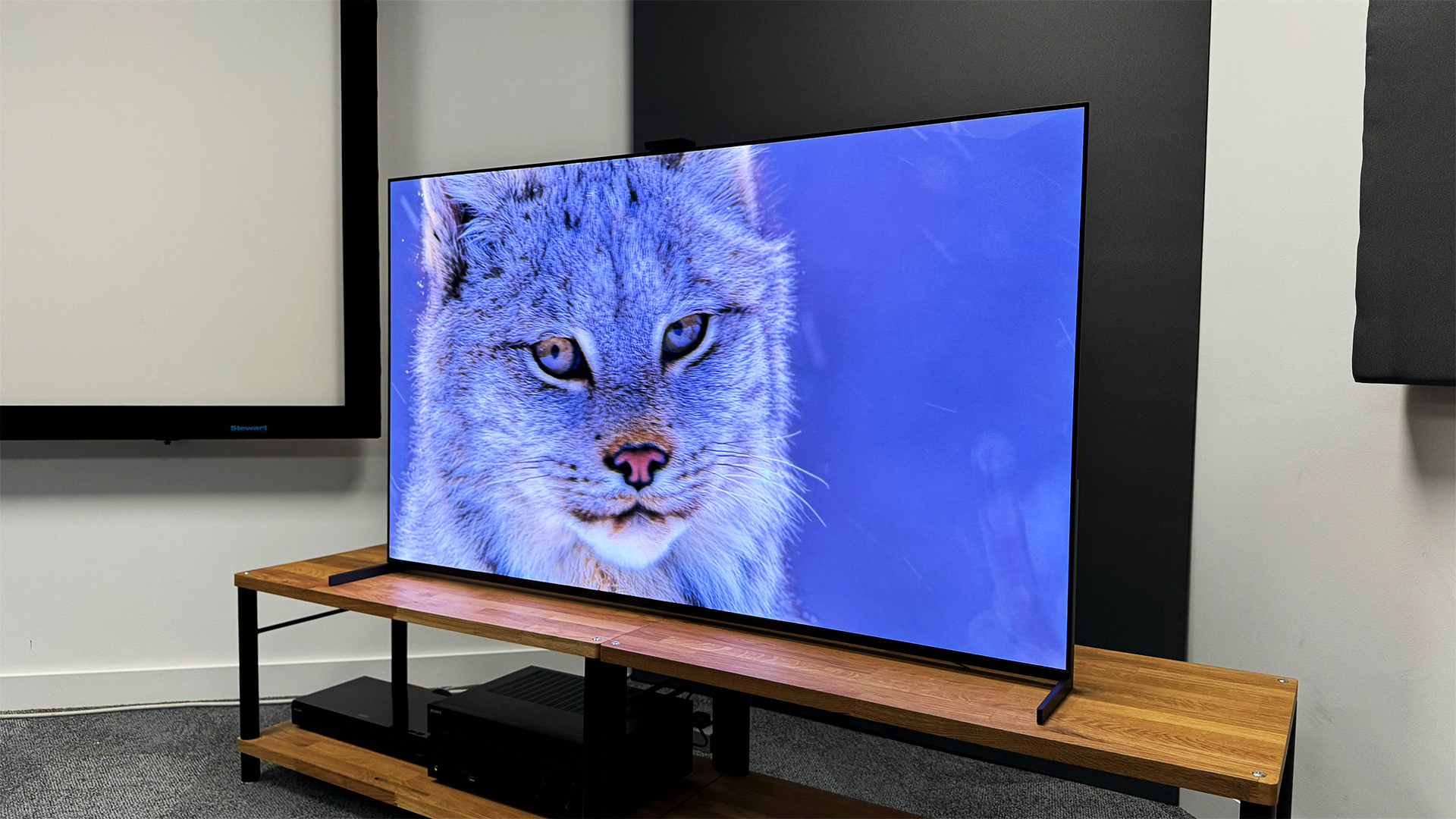 Netic 75" TV view 2