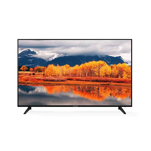 Stone TV 55" TV - STS