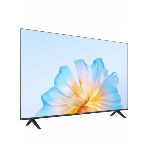 Stone TV 65" TV view 2
