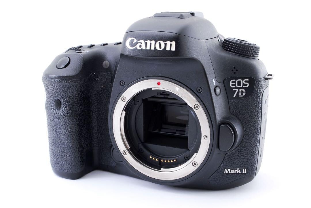 Canon Eos 7D Mark Ii DSLR Camera view 4