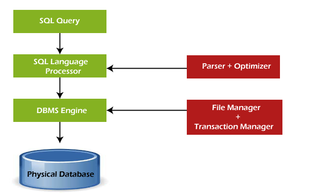 SQL Tutorial free course